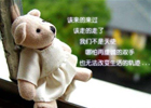 红米家居2023新品-60磨毛