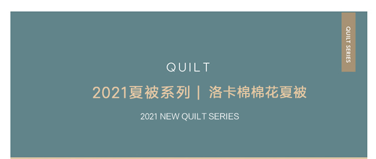 xiabei_2020_c40